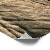 Foto van het Afrikaanse olifantenoog Poster (Hoek)