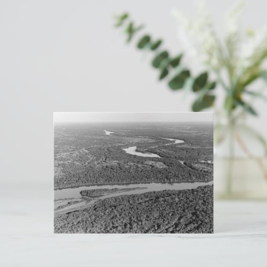  foto van het Amazonewoud Briefkaart (Staand voorkant)