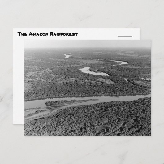  foto van het Amazonewoud Briefkaart (Voorkant / Achterkant)