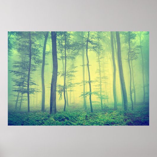 foto van het bos van de jonge generatie. poster (Voorkant)