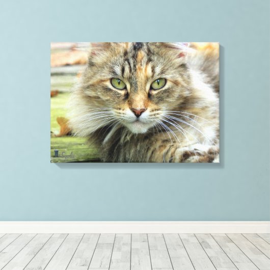 Foto van het bruine, langwerpige barnkartonnen doe canvas afdruk (Insitu (Houten vloer))