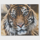 FOTO VAN HET GEZICHT VAN DE TIGER CADEAUPAPIER (Vlak)