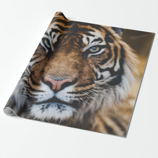 FOTO VAN HET GEZICHT VAN DE TIGER CADEAUPAPIER (Uitgerold)
