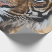 FOTO VAN HET GEZICHT VAN DE TIGER CADEAUPAPIER (Hoek)
