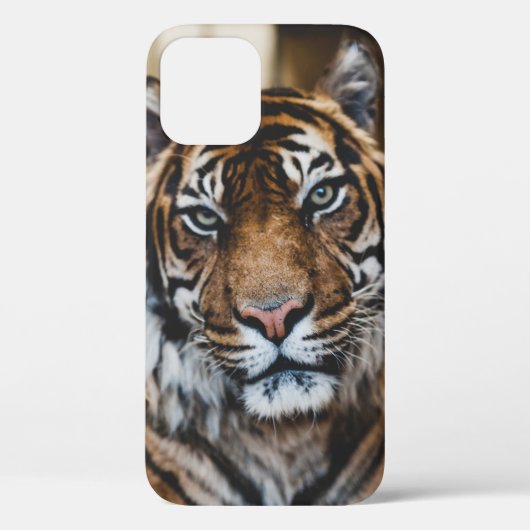 FOTO VAN HET GEZICHT VAN DE TIGER Case-Mate iPhone CASE (Achterkant)