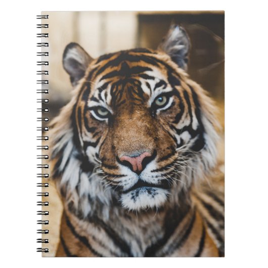 FOTO VAN HET GEZICHT VAN DE TIGER NOTITIEBOEK (Voorkant)