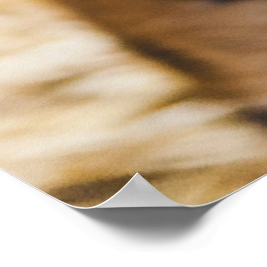 FOTO VAN HET GEZICHT VAN DE TIGER POSTER (Hoek)