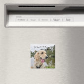 Foto van het huisdier Keepsake Memorial Gift Magneet (Insitu (Vaatwasser))