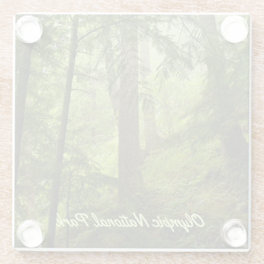 Foto van het Nationaal Park Rainforest Glazen Onderzetter (Achterkant)
