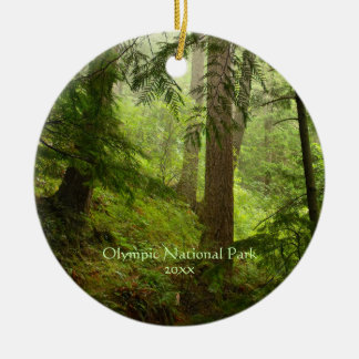 Foto van het Nationaal Park Rainforest Keramisch Ornament