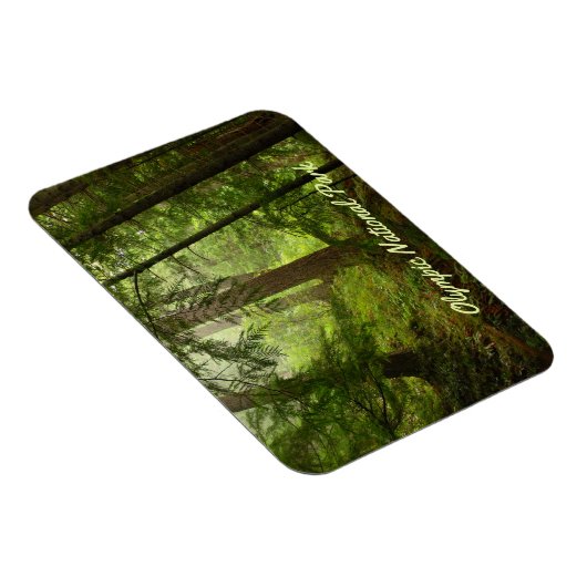 Foto van het Nationaal Park Rainforest Magneet (Rechterzijde)