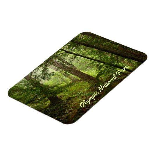 Foto van het Nationaal Park Rainforest Magneet (Linkerzijde)