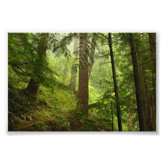 Foto van het Nationaal Park Washington Afdruk (Voorkant)