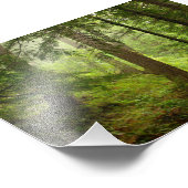 Foto van het Nationaal Park Washington Foto Afdruk (Hoek)