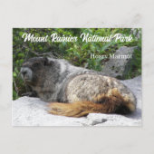 Foto van het nationale park Rainier Hoary Marmot Briefkaart (Voorkant)