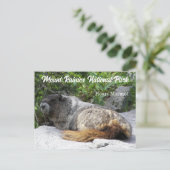 Foto van het nationale park Rainier Hoary Marmot Briefkaart (Staand voorkant)