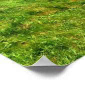 Foto van het nieuwe Slains Castle van Scottish Hay Poster (Hoek)