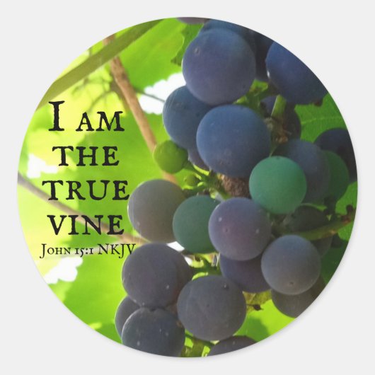 Foto van het Paarse evangelie van John Bible Verse Ronde Sticker (Voorkant)