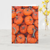 Foto van het Patroon van de Pompoen van Halloween Kaart (Gele Bloem)