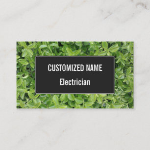 Foto van het Plant Green Hedge Shrub Type Visitekaartje