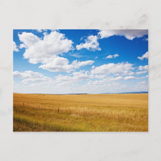 Foto van het plattelandslandschap South Dakota Briefkaart (Voorkant)