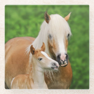 Foto van het Pony van Mum van de Kus van het Glazen Onderzetter