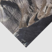 Foto van het prachtige woestijngebergte tissuepapier (Detail)