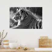 Foto van het profiel B&W-tijger Poster (Keuken)