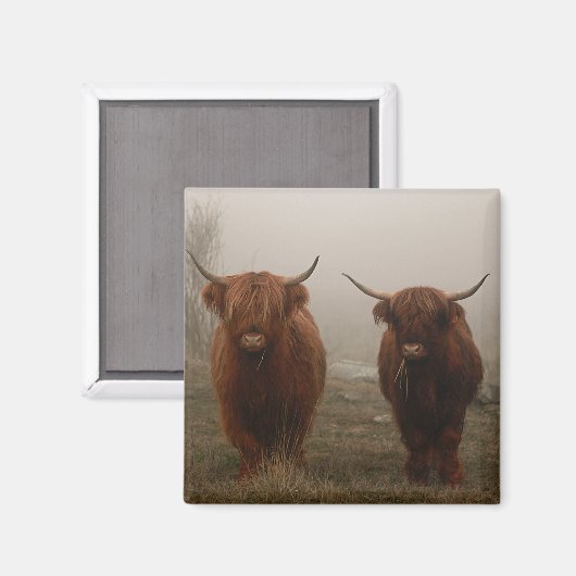 Foto van Highland Cattle Fog Magneet (Voorkant / Achterkant)