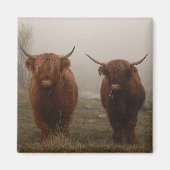 Foto van Highland Cattle Fog Magneet (Voorkant)