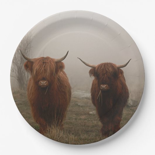Foto van Highland Cattle Fog Papieren Bordje (Voorkant)