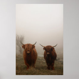 Foto van Highland Cattle Fog Poster