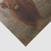 Foto van Highland Cattle Fog Tissuepapier (Detail)