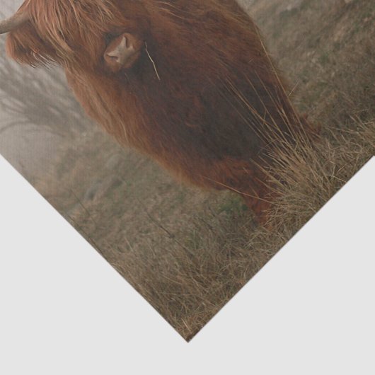 Foto van Highland Cattle Fog Tissuepapier (Detail)