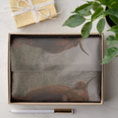 Foto van Highland Cattle Fog Tissuepapier (Geschenk)