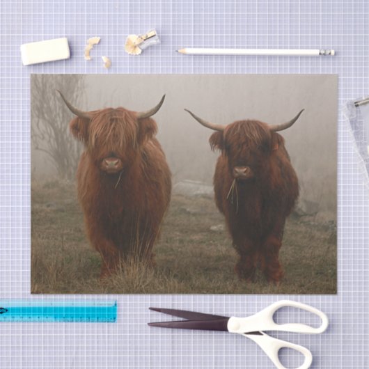 Foto van Highland Cattle Fog Tissuepapier (Craft)