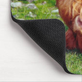 Foto van Highland Cow Muismat (Hoek)