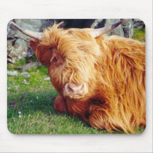 Foto van Highland Cow Muismat