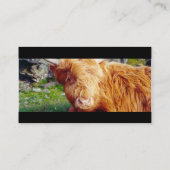 Foto van Highland Cow Visitekaartje (Achterkant)