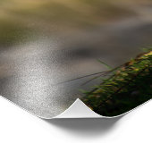 Foto van hoge kwaliteit afdrukken van ganzen per r foto afdruk (Hoek)