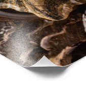 Foto van hoge kwaliteit afdrukken van gemengde zee foto afdruk (Hoek)