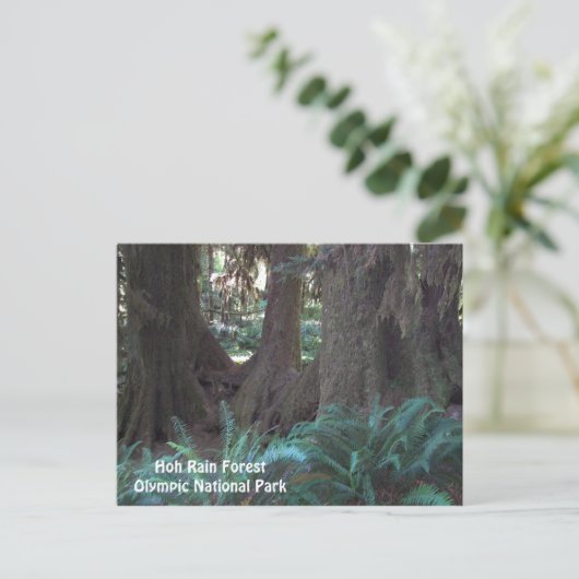 Foto van Hoh Rain Forest Revel Briefkaart (Staand voorkant)