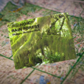 Foto van Hoh Rain Forest Revel Briefkaart