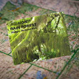 Foto van Hoh Rain Forest Revel Briefkaart