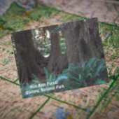 Foto van Hoh Rain Forest Revel Briefkaart