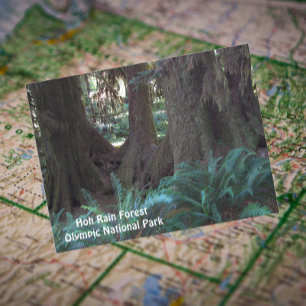 Foto van Hoh Rain Forest Revel Briefkaart