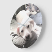 Foto van hond die naast zijn beste vriend Blue zit Grote Klok (Hoek)