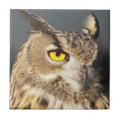 Foto van Horned Eagle Owl Tegeltje (Voorkant)