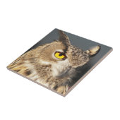 Foto van Horned Eagle Owl Tegeltje (Zijkant)