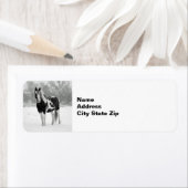 Foto van Horse Black en White Snow Etiket (Insitu)